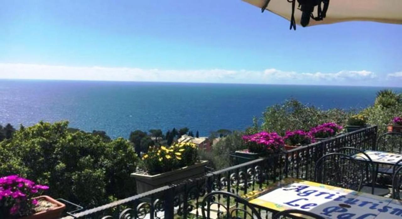 Agriturismo Le Pale 2 Swimming Pool And Parking Bogliasco Exterior foto